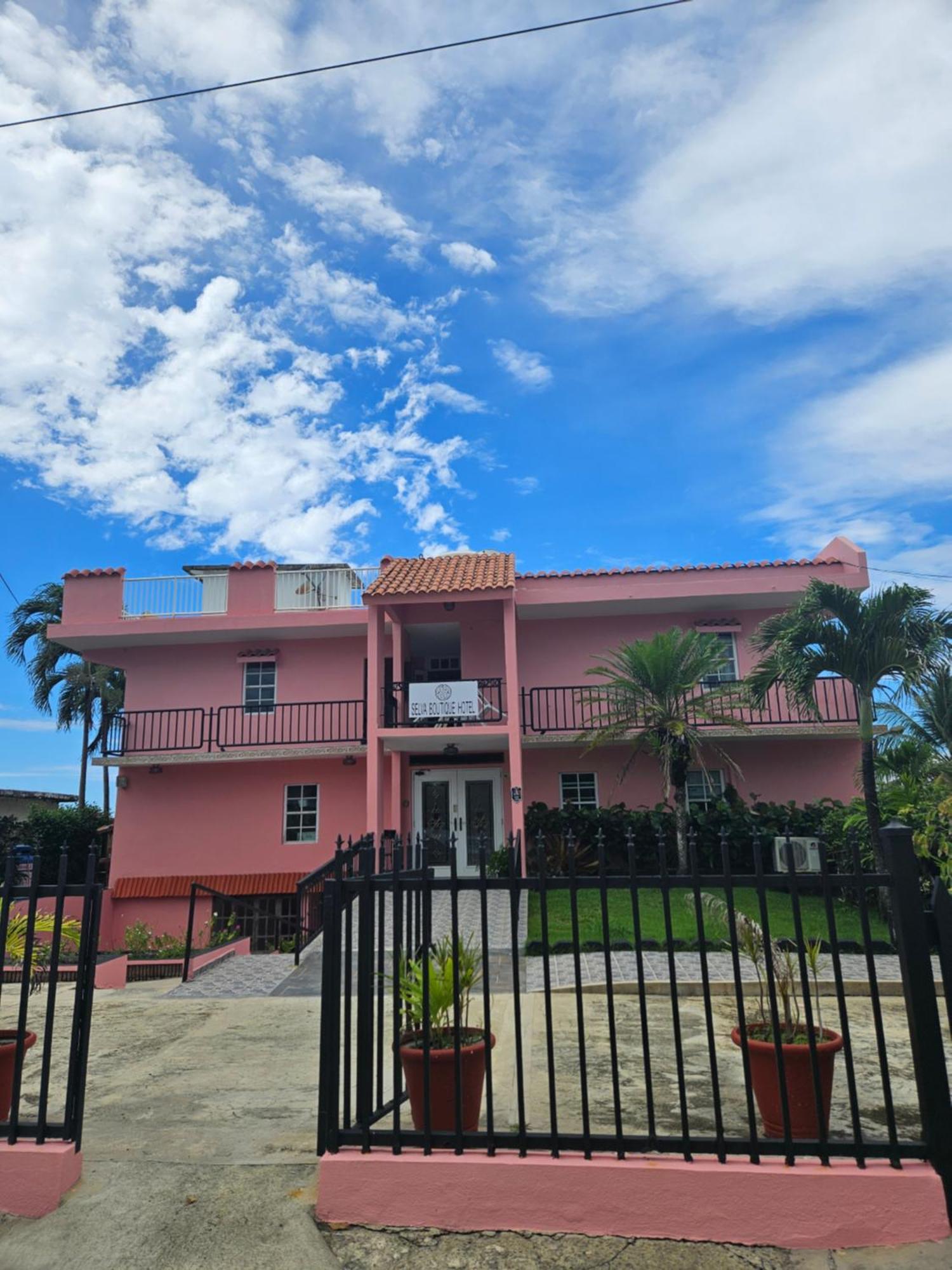 Selva Boutique Hotel - Luquillo Oceanfront Retreat - Adults Only Eksteriør billede